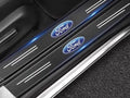 Door Sill Protector | for Ford image 0